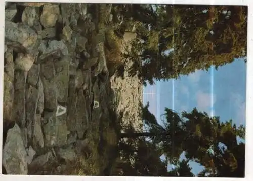 [Ansichtskarte] GERMANY - Himmelsleiter zum Luisengipfel - Bayerischer Wald. 