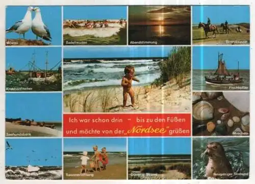 [Ansichtskarte] GERMANY - Nordsee. 