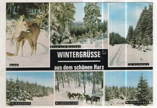 [Ansichtskarte] GERMANY - Wintergrüsse aus dem schönen Harz. 