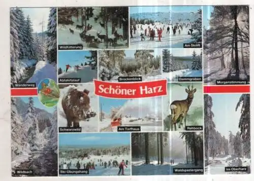 [Ansichtskarte] GERMANY - Schöner Harz. 