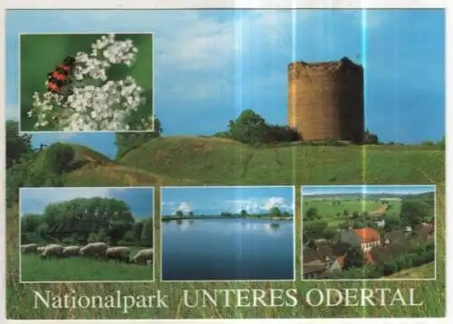[Ansichtskarte] GERMANY - Nationalpark Unteres Odertal. 