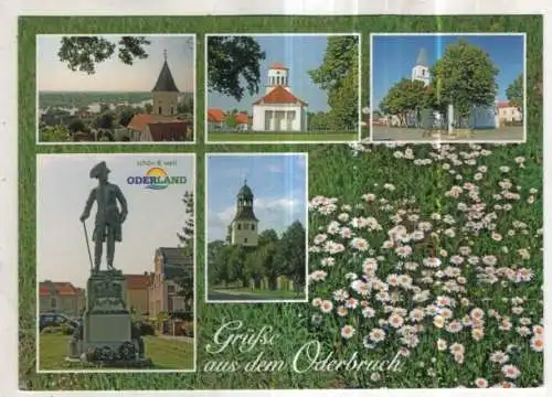 [Ansichtskarte] GERMANY - Grüße aus dem Oderbruch. 