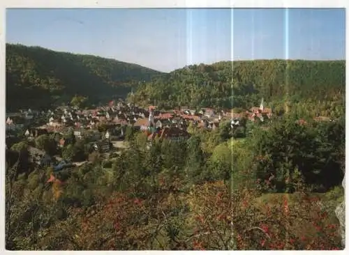 [Ansichtskarte] GERMANY - Blaubeuren vom Rucken. 