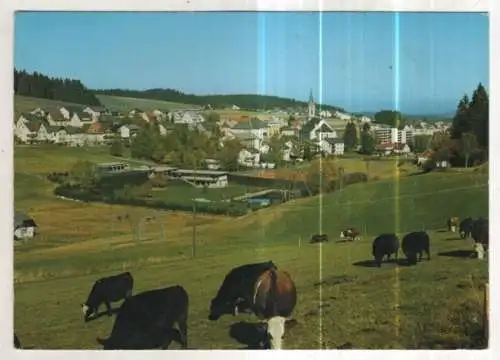 [Ansichtskarte] GERMANY - Schönwald / Schwarzwald. 