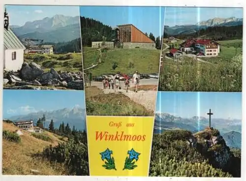 [Ansichtskarte] GERMANY - Gruß aus Winklmoos. 
