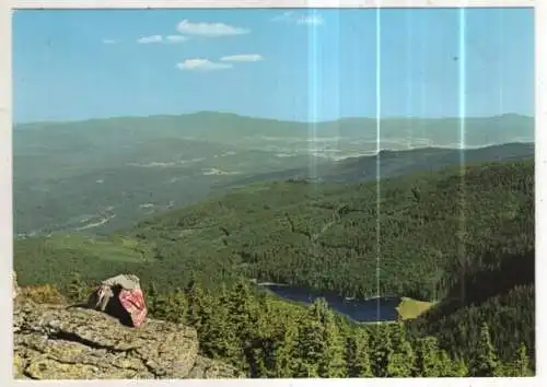 [Ansichtskarte] GERMANY - Großer Arbersee / Bayer. Wald. 