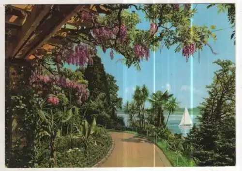 [Ansichtskarte] GERMANY - Insel Mainau im Bodensee. 