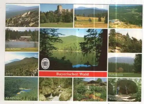 [Ansichtskarte] GERMANY - Bayerischer Wald. 