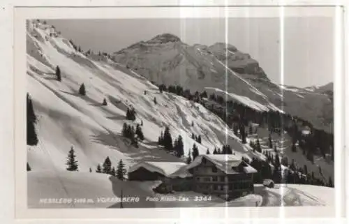 [Ansichtskarte] AUSTRIA - Nesslegg. 