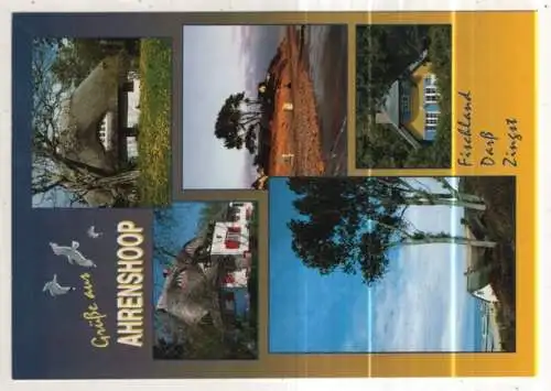 [Ansichtskarte] GERMANY -  Ahrenshoop. 