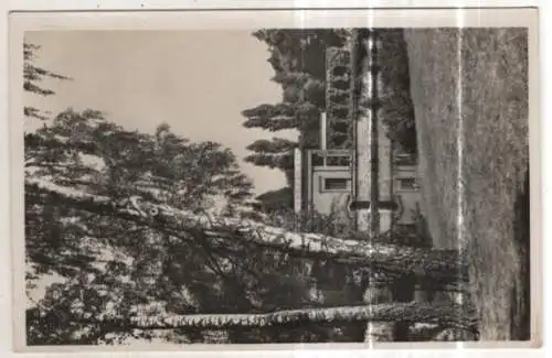 [Ansichtskarte] GERMANY - Potsdam - An den Römischen Bädern. 