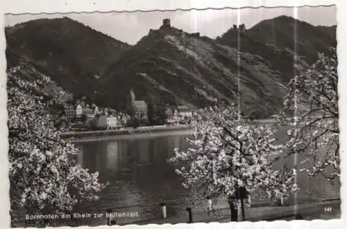 [Ansichtskarte] GERMANY - Bornhofen am Rhein zur Blütenzeit. 