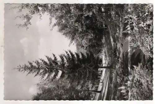 [Ansichtskarte] GERMANY - Braunlage im Harz - Im Kurpark. 