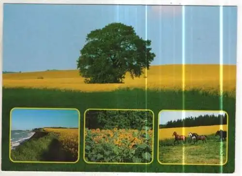 [Ansichtskarte] GERMANY - Schönes Schleswig-Holstein. 