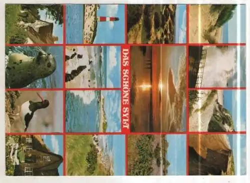 [Ansichtskarte] GERMANY - Das schöne Sylt. 