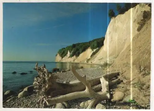 [Ansichtskarte] GERMANY - Rügen - Stubbenkammer - Kreideküste. 