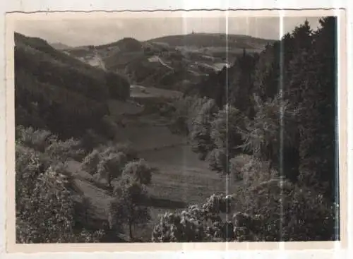 [Ansichtskarte] GERMANY - Lippische Schweiz - Blick vom Hangstein. 