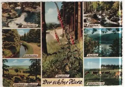 [Ansichtskarte] GERMANY - Der schöne Harz. 