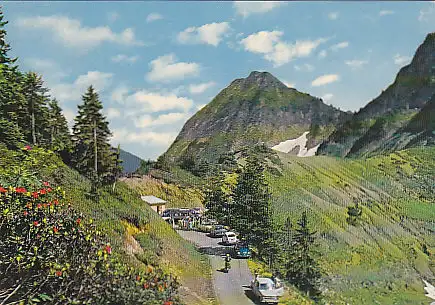 [Ansichtskarte] AUSTRIA - Furkapass. 