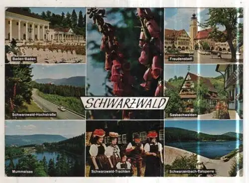 [Ansichtskarte] GERMANY - Schwarzwald. 