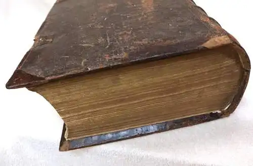 Luther: Cotta Bibel Tübingen 1729 

Das ist die gantze Heilige Schrift Alten und Neuen Testaments nach der Übersetzung und mit den Vorreden D.Martin Luthers. 