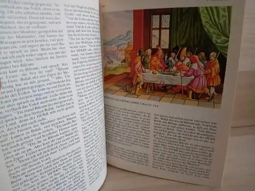 Luther, D. Martin: Die Bibel
Die ganze heilige Schrift des Alten und Neuen Testaments
In der deutschen Übersetzung von D. Martin Luther mit Kupferstichen von Matthaeus Merian. 