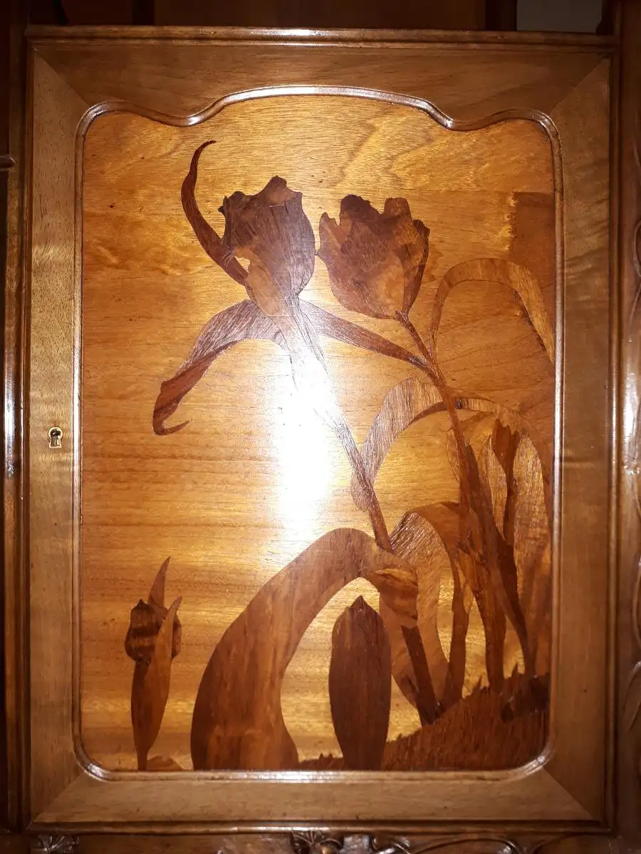 Art Nouveau Majorelle Cabinet 6