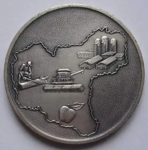 DDR Medaille Zossen 20 Jahre ZGE – GE 1961 – 1981