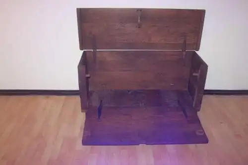 Truhe antik Unikat Sammlerstück ca 1900Jh.