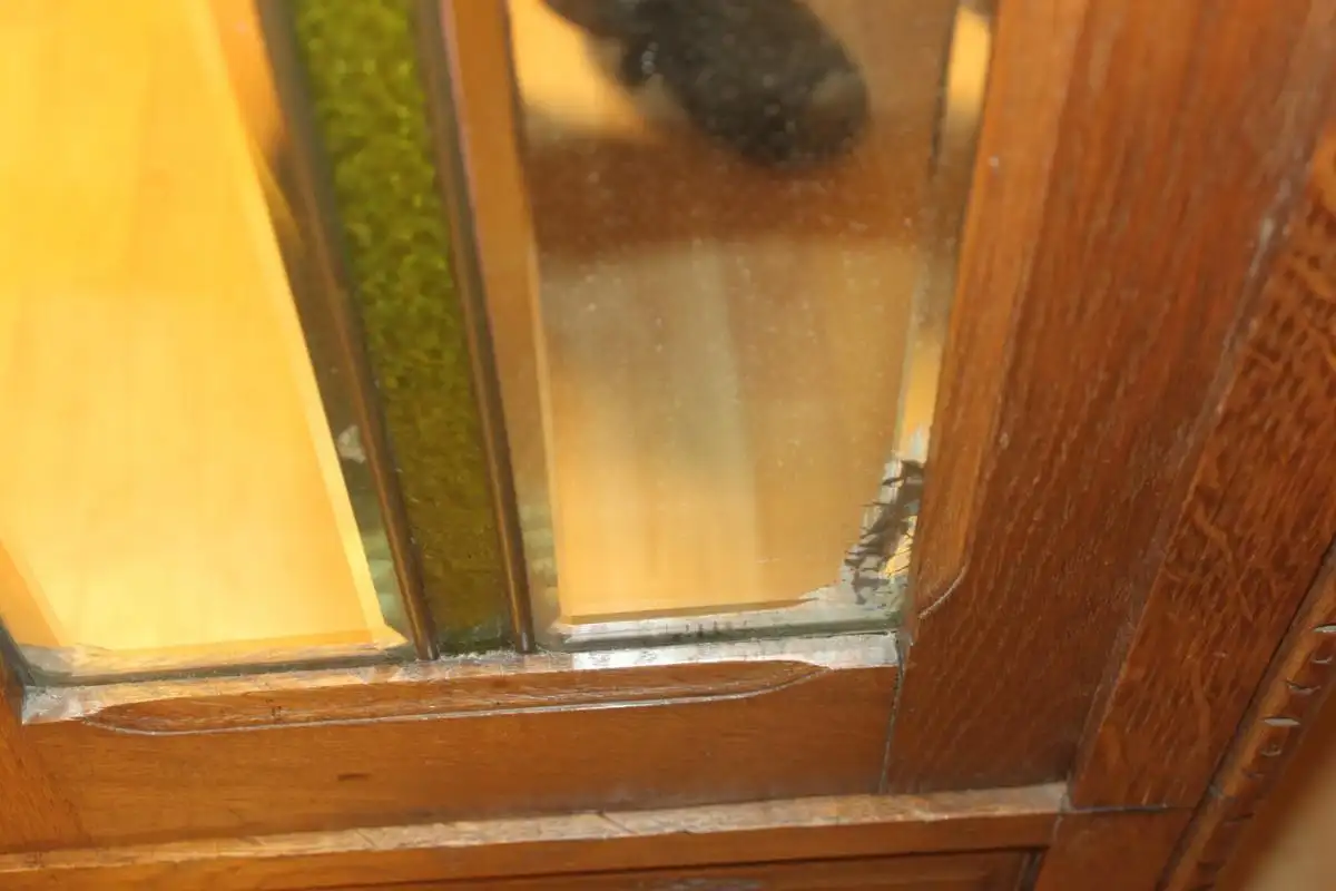 Antik Kleiderschrank Frankreich Jugendstil  Schnitzereien ca.1930Jh. 6