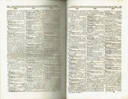 Englisch-Deutsches und Deutsch-Englisches Wörterbuch
 mit einer tabellarischen Übersicht der von den neuern englischen Orthoepisten verschieden ausgesprochenen Wörter
 2 Bände komplett. 
