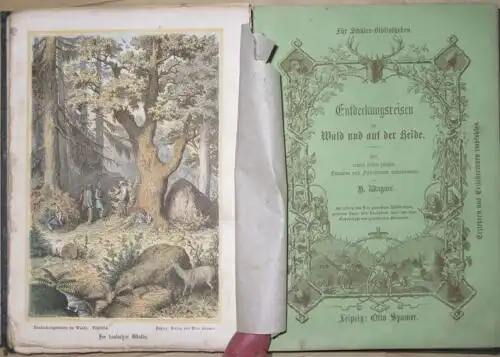 Hermann Wagner: Entdeckungsreisen in Feld und Flur / Entdeckungsreisen im Wald und auf der Heide
 Mit seinen lieben jungen Freunden und Freundinnen unternommen. 