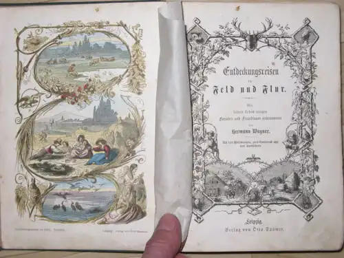 Hermann Wagner: Entdeckungsreisen in Feld und Flur / Entdeckungsreisen im Wald und auf der Heide
 Mit seinen lieben jungen Freunden und Freundinnen unternommen. 