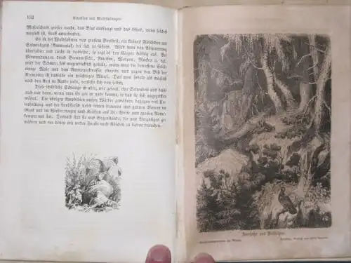 Hermann Wagner: Entdeckungsreisen in Feld und Flur / Entdeckungsreisen im Wald und auf der Heide
 Mit seinen lieben jungen Freunden und Freundinnen unternommen. 