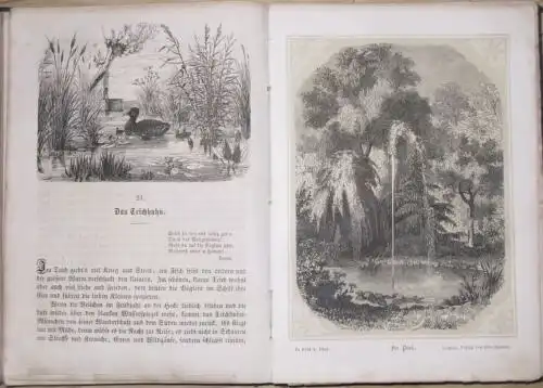 Hermann Wagner: Mit seinen lieben jungen Freunden und Freundinnen unternommen
 Entdeckungsreisen in Feld und Flur / Entdeckungsreisen im Wald und auf der Heide. 