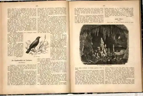 Deutsche Jugendblätter
 Elfter Jahrgang 1871 (= 26 Nummern komplett). 