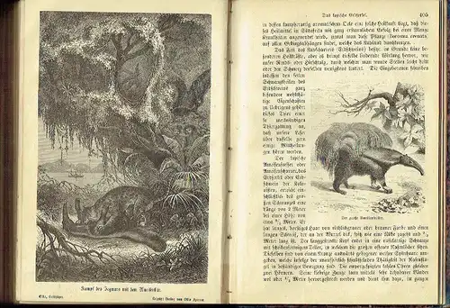 Die Busch-Jäger oder die geprüfte Familie
 Erlebnisse, Fahrten und Abenteuer, Natur- und Sittenschilderungen aus dem afrikanischen Jagd-, Reise- und Buschleben
 Neue Jugend- und Hausbibliothek, Zweite Serie, Vierter Band. 