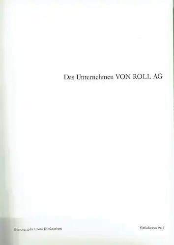 Arbeitsgruppe: Geschichte der Ludwig von Roll'schen Eisenwerke
 Band 2. 