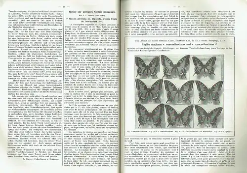 Entomologische Zeitschrift
 Zentral-Organ des Internationalen Entomologischen Vereins zu Stuttgart. 