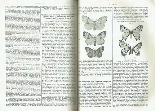 Entomologische Zeitschrift
 Zentral-Organ des Internationalen Entomologischen Vereins zu Stuttgart. 