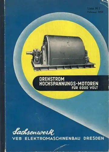 Drehstrom-Hochspannungs-Motoren für 6000 Volt. 