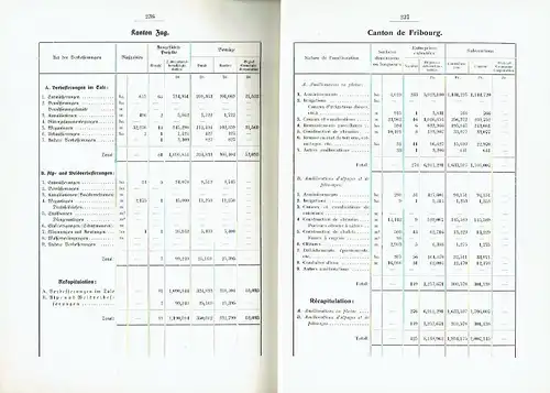 Das Bodenverbesserungswesen der Schweiz 1913-1924
 Unter Benützung der kantonalen Berichte zusammengestellt. 