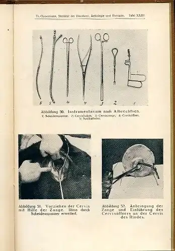 Prof. Dr. Theodor Oppermann: Aetiologie und Therapie, Ein Leitfaden für praktische Tierärzte und Studierende der Veterinärmedizin
 Sterilität der Haustiere. 