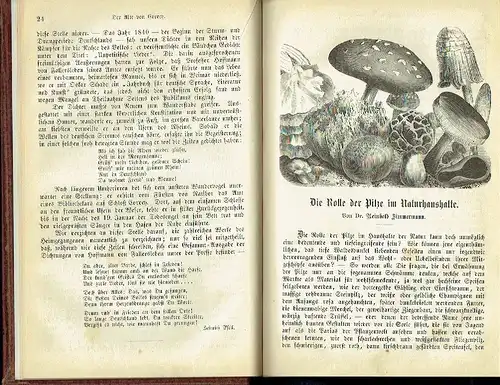 Jahrbuch der Welt der Jugend
 Schilderungen aus Vergangenheit und Gegenwart, aus Heimat und Fremde
 Reihenfolge 2, Sammlung 3. 