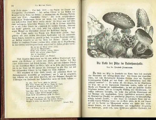 Jahrbuch der Welt der Jugend
 Schilderungen aus Vergangenheit und Gegenwart, aus Heimat und Fremde. 