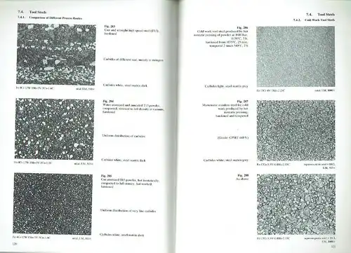 W. J. Huppmann
 K. Dalal: Metallographic Atlas of Powder Metallurgy. 