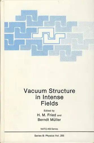 Vacuum Structure in Intense Fields. 