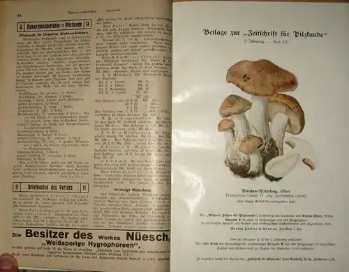 Zeitschrift für Pilzkunde
 Organ der Deutschen Gesellschaft für Pilzkunde und des Bundes zur Förderung der Pilzkunde, Berlin. 