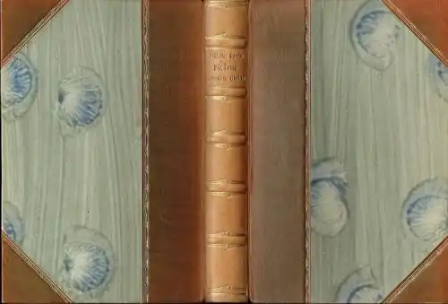 Wilhelm Raabe: Die Leute aus dem Walde
 ihre Sterne, Wege und Schicksale.