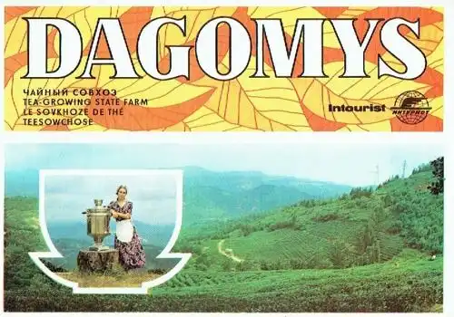 Dagomys
 Teesowchose / Le sovkhoze de Thé / Tea-Growing State Farm. 